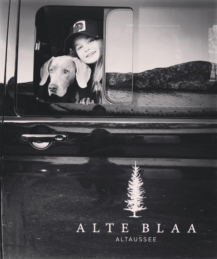 אלטאוסיי Die Alte Blaa מראה חיצוני תמונה